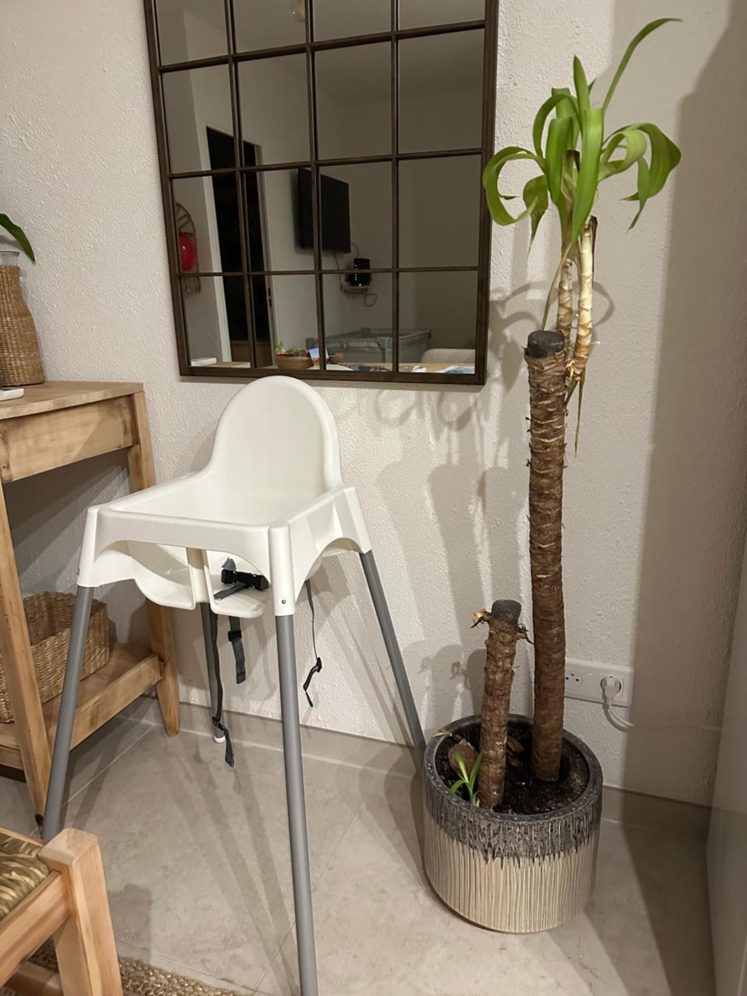 Appartement Sea Shell Cavalaire-sur-Mer Dış mekan fotoğraf